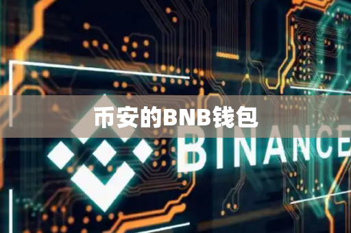 币安的BNB钱包