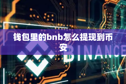 钱包里的bnb怎么提现到币安