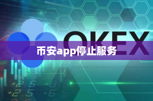 币安app停止服务