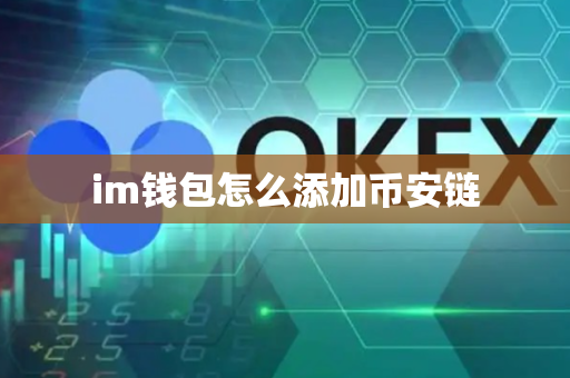 im钱包怎么添加币安链