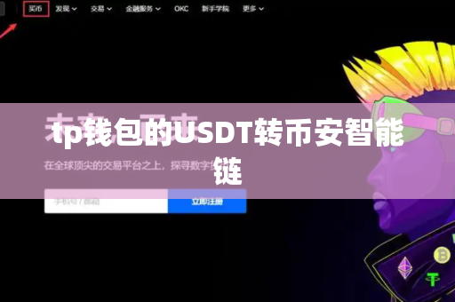 tp钱包的USDT转币安智能链