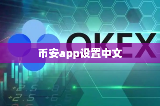 币安app设置中文-第1张图片-币闻社