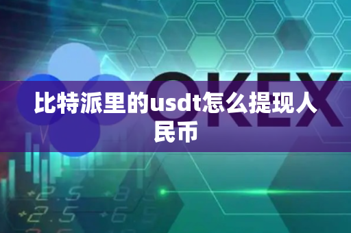 比特派里的usdt怎么提现人民币