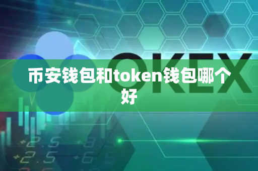 币安钱包和token钱包哪个好