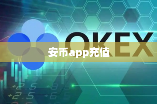 安币app充值