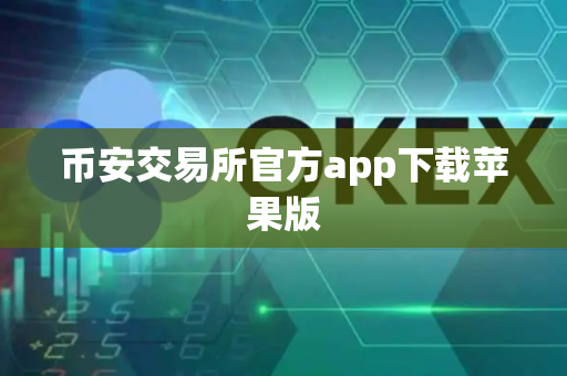 币安交易所官方app下载苹果版