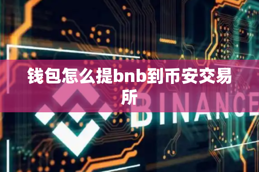 钱包怎么提bnb到币安交易所