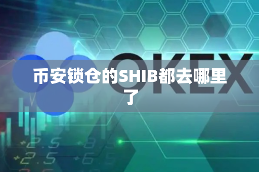 币安锁仓的SHIB都去哪里了