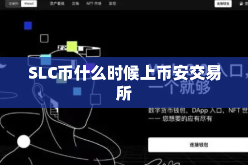 SLC币什么时候上币安交易所-第1张图片-币闻社