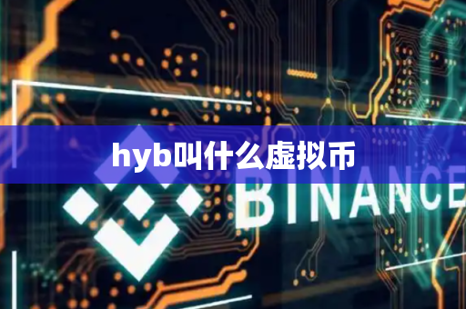 hyb叫什么虚拟币-第1张图片-币闻社