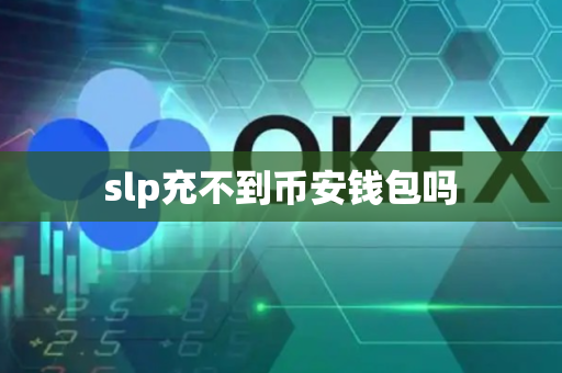 slp充不到币安钱包吗-第1张图片-币闻社