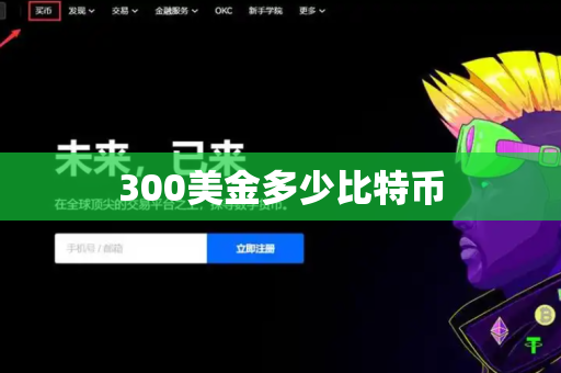 300美金多少比特币-第1张图片-币闻社