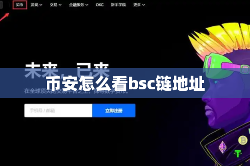 币安怎么看bsc链地址