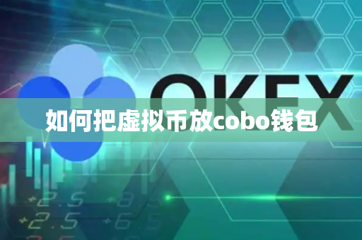 如何把虚拟币放cobo钱包-第1张图片-币闻社