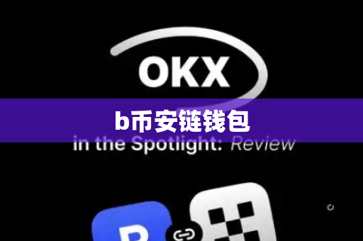 b币安链钱包-第1张图片-币闻社