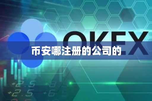 币安哪注册的公司的-第1张图片-币闻社