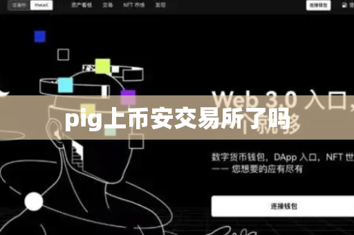 pig上币安交易所了吗-第1张图片-币闻社