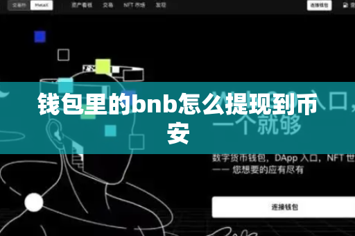 钱包里的bnb怎么提现到币安-第1张图片-币闻社