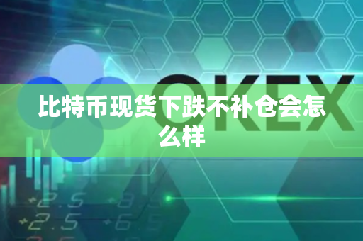 比特币现货下跌不补仓会怎么样-第1张图片-币闻社