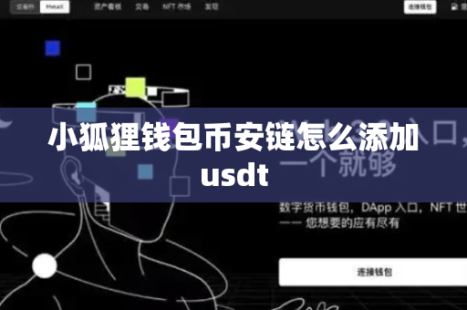 小狐狸钱包币安链怎么添加usdt-第1张图片-币闻社